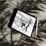 قلم لمسی برند لولو مدل Skyflex مخصوص iPad با Palm Rejection و Tilt Sensitivity
